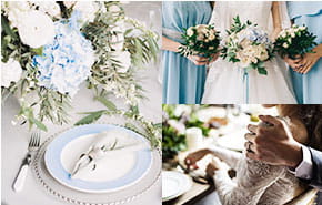 画像:シーズンプラン